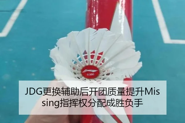 JDG更换辅助后开团质量提升Missing指挥权分配成胜负手 | Windows